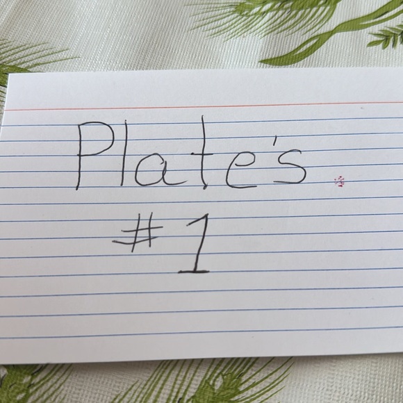 Department 56  Teaser And Tiger/Felica & Felina/  Decorative Plates Set of 4 - Picture 9 of 9